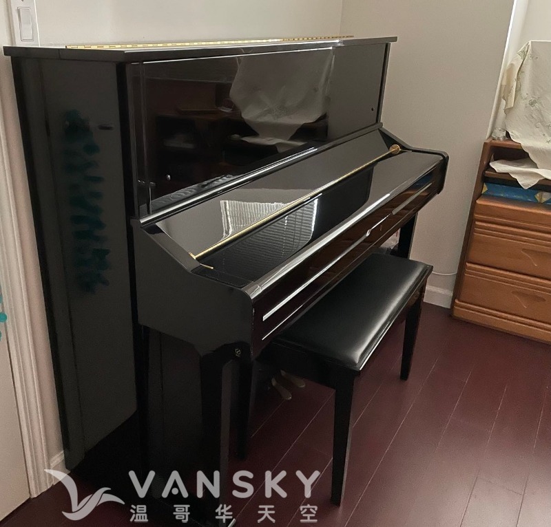 241225140346_cdf9a4eff046109a9961b49096e36e0f copy.jpeg